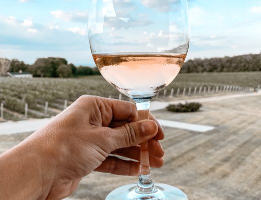 Niagara Wine Bike Tour