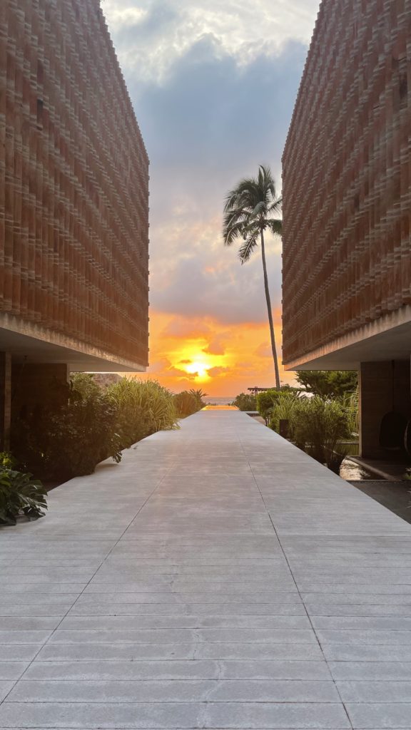 El Careyes Club and Residences