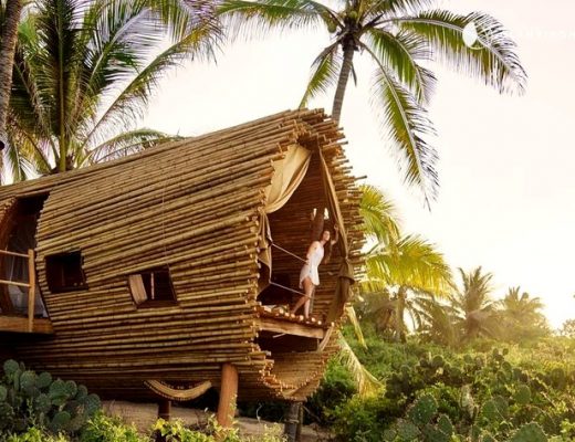 The Daydream Diaries